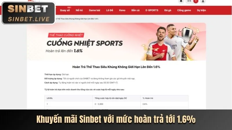 Cá cược tennis và tỷ lệ cược trực tiếp